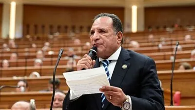 النائب محمد صلاح أبو هميلة  