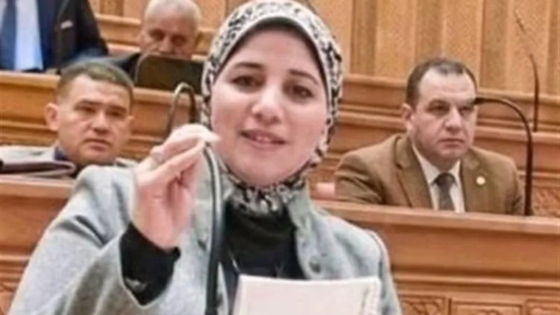  النائبة وفاء أحمد