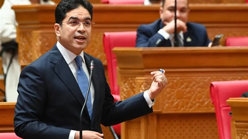  النائب ضياء الدين