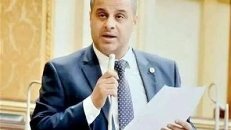 النائب عاصم عبد العزيز