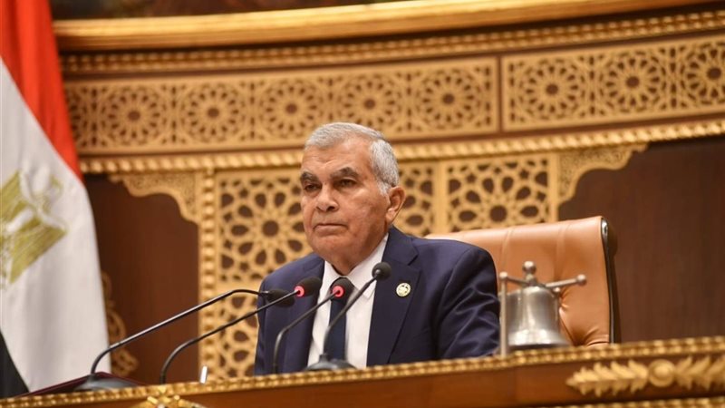 المستشار عصام الدين فريد