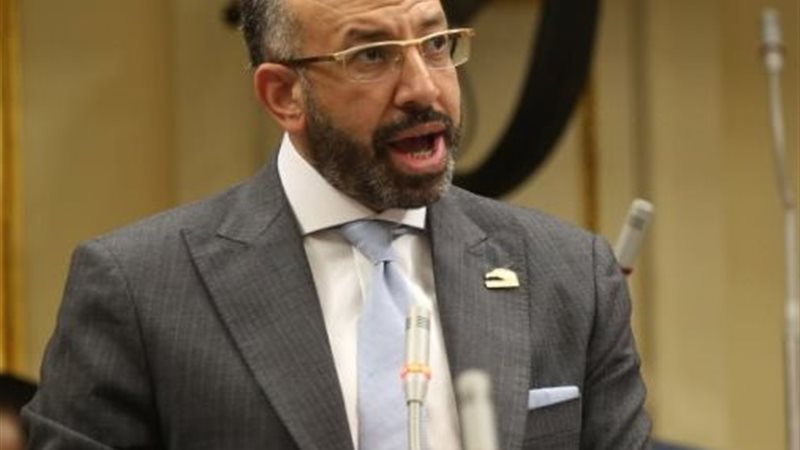 النائب حسام المندوه