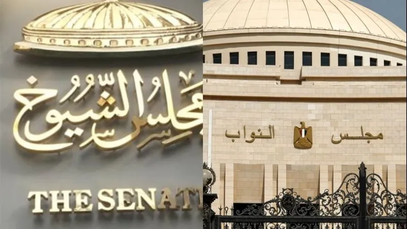 مجلسي النواب والشيوخ 