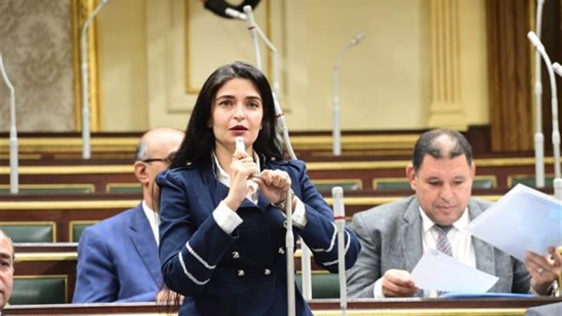 النائبة إيرين سعيد