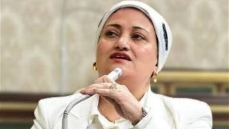 النائبة سناء السعيد